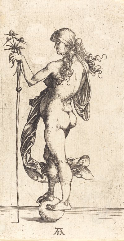 Petite Fortune - Albrecht Dürer