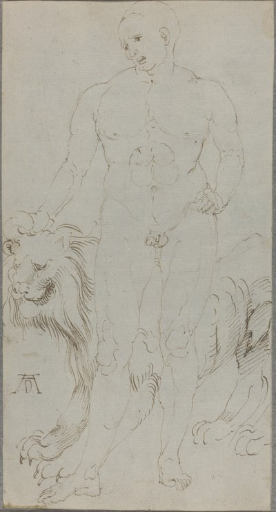 Nu masculin avec un lion (verso) - Albrecht Dürer