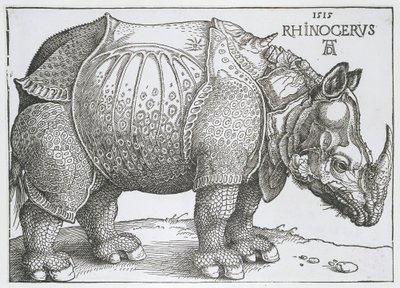Rhinocéros - Albrecht Dürer