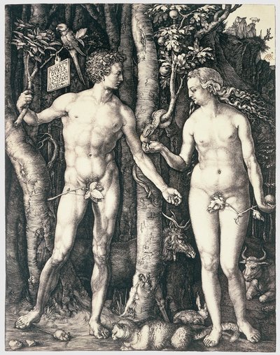Péché originel - Albrecht Dürer
