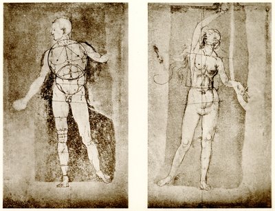 Étude de proportion sur Adam et Ève - Albrecht Dürer