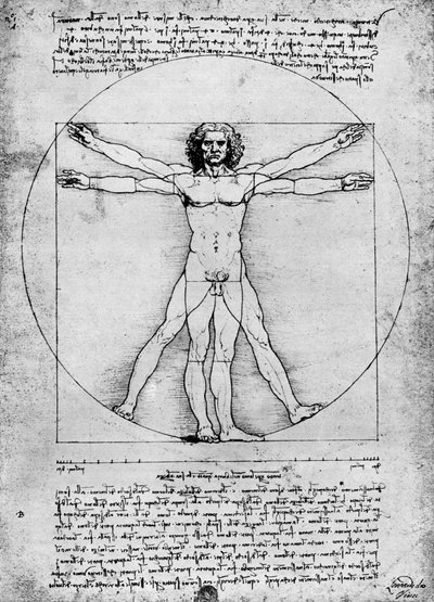 Proportions de la figure humaine, vers 1492, 1936 - Albrecht Dürer