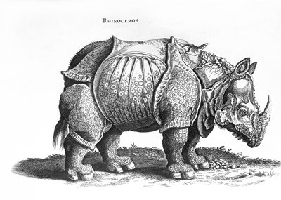 Rhinocéros, no.76 de 
