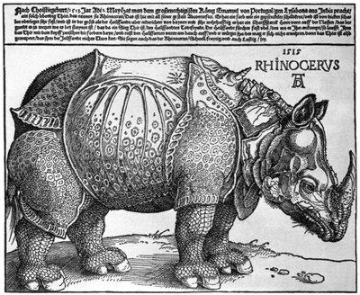 Rhinocéros, impression donnée à Maximilien Ier par le roi de Lisbonne - Albrecht Dürer