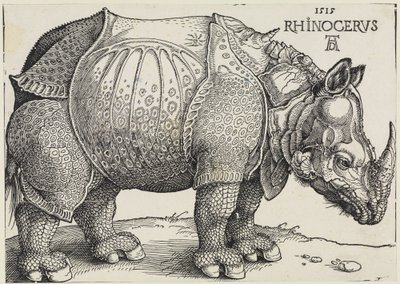 Rhinocerus (Le rhinocéros) - Albrecht Dürer