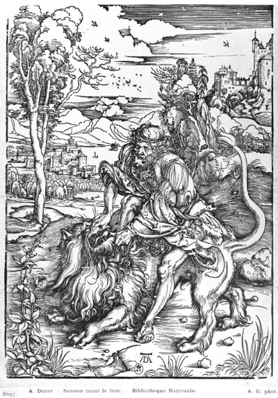Samson tuant le lion, c.1496-98 - Albrecht Dürer