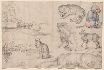  - Albrecht Dürer