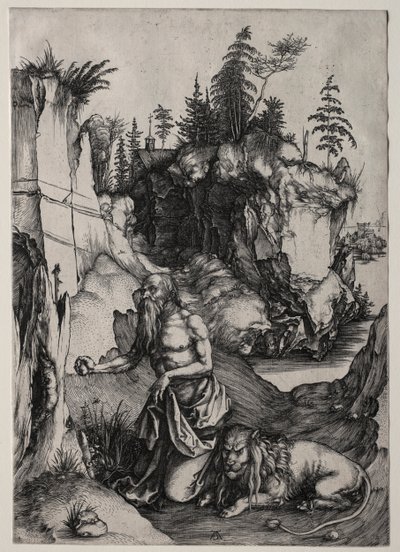Saint Jérôme en pénitence - Albrecht Dürer