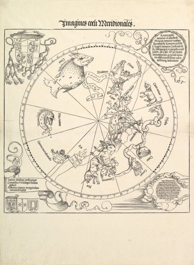 Le globe céleste - Hémisphère sud, 1515 - Albrecht Dürer