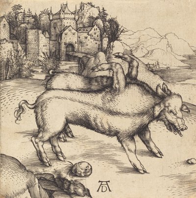 Le Cochon Monstrueux de Landser - Albrecht Dürer