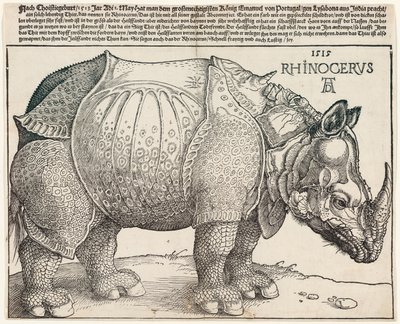 Le rhinocéros - Albrecht Dürer