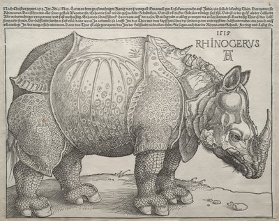 Le Rhinocéros - Albrecht Dürer