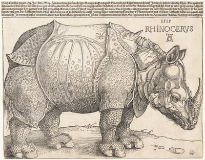  - Albrecht Dürer