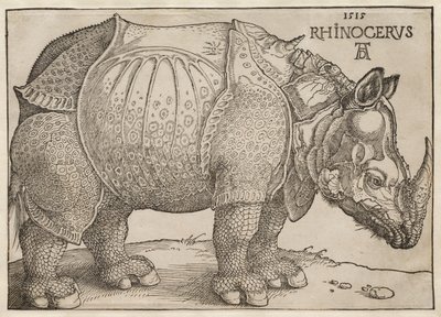 Le Rhinocéros - Albrecht Dürer