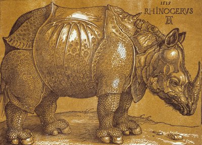 Le Rhinocéros - Albrecht Dürer