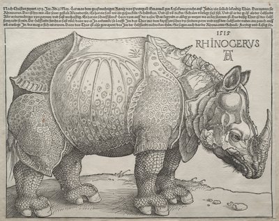 Le Rhinocéros - Albrecht Dürer
