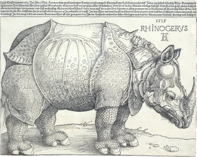 Le Rhinocéros, 1515 - Albrecht Dürer