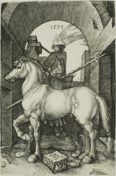 Le Petit Cheval - Albrecht Dürer