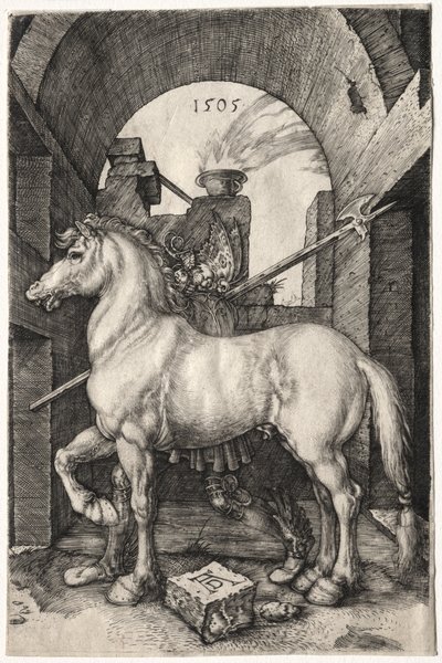 Le Petit Cheval - Albrecht Dürer