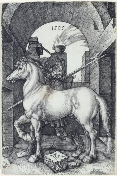 Le Petit Cheval - Albrecht Dürer