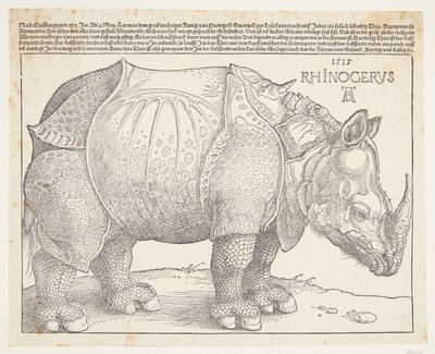 Le rhinocéros - Albrecht Dürer