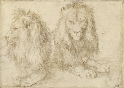Deux lions assis, 1521 - Albrecht Dürer