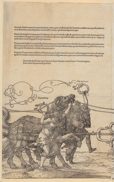  - Albrecht Dürer