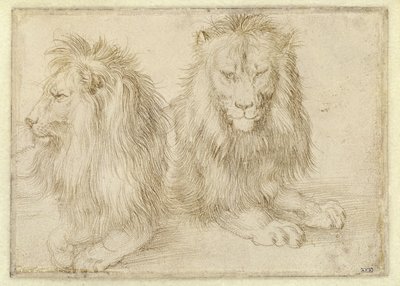  - Albrecht Dürer