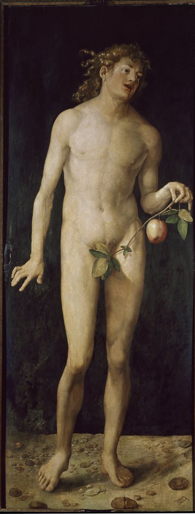 Adam (huile sur bois) - Albrecht Dürer