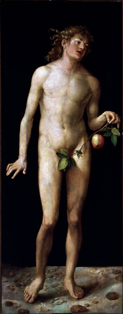  - Albrecht Dürer or Duerer