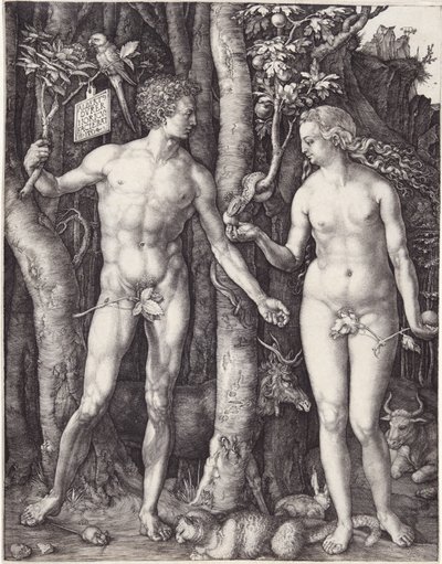 Adam et Ève, pub. 1504 (gravure) - Albrecht Dürer