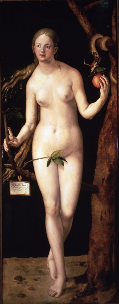  - Albrecht Dürer or Duerer