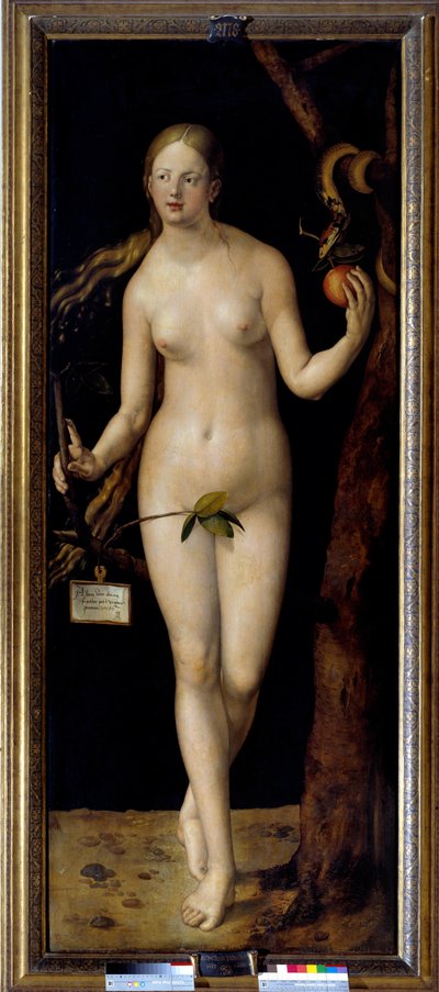 Ève - Albrecht Dürer