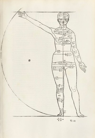 Gravure anatomique féminine de 