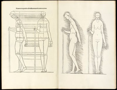 Femme avec bâton, gravure anatomique de Hierinn sind begriffen vier bücher von menschlicher Proportion, 1528 - Albrecht Dürer