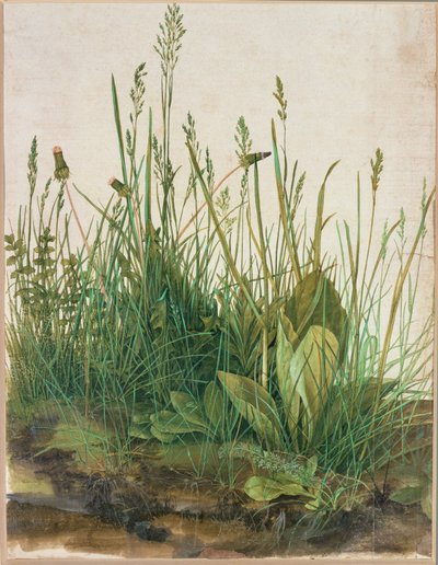 Grande motte de tourbe - Das grosse Rasenstueck - Albrecht Dürer or Duerer