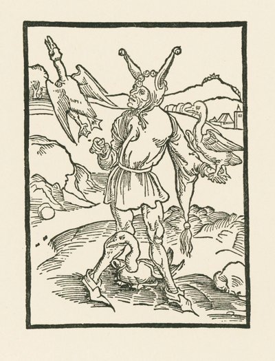 Narr hur as vern - Albrecht Dürer or Duerer