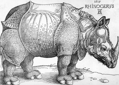 Rhinocéros - Albrecht Dürer