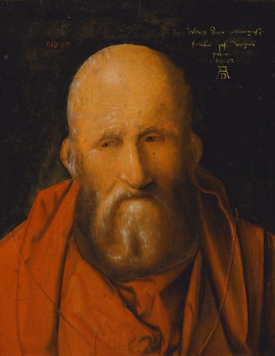 Saint Jérôme - Albrecht Dürer