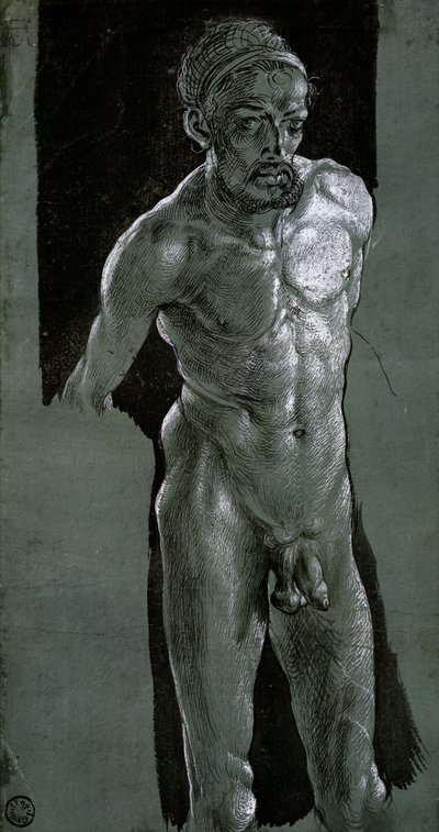 Autoportrait, vers 1503 - Albrecht Dürer