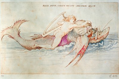 Le poète grec Arion chevauchant le dauphin, vers 1515 (aquarelle sur papier) - Albrecht Dürer or Duerer