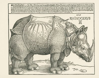 Le rhinocéros - Albrecht Dürer or Duerer
