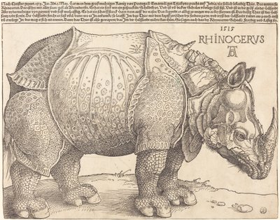Le Rhinocéros - Albrecht Dürer