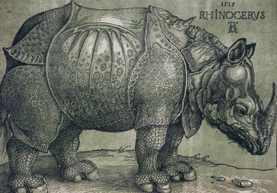 Le Rhinocéros, 1515 - Albrecht Dürer