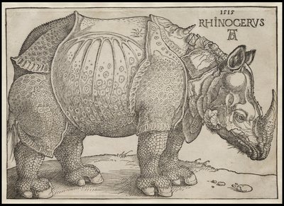 Le Rhinocéros, 1515 - Albrecht Dürer