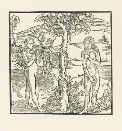 La chute. Illustration de " Der Ritter von Turn " , vers 1493-93 (gravure sur bois) - Albrecht Dürer or Duerer