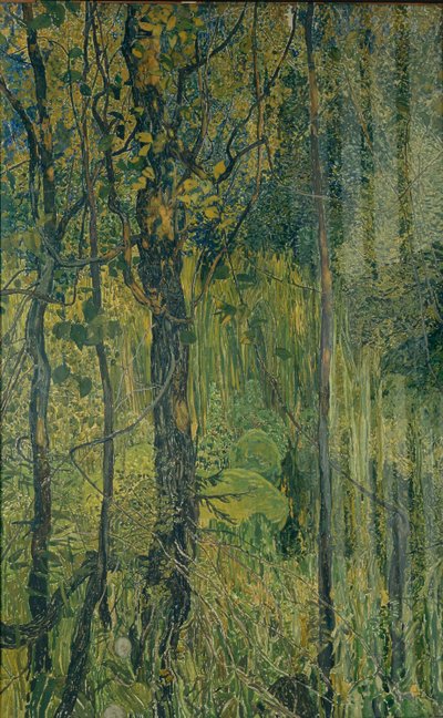 Forêt marécageuse - Aleksandr Jakovlevic Golovin