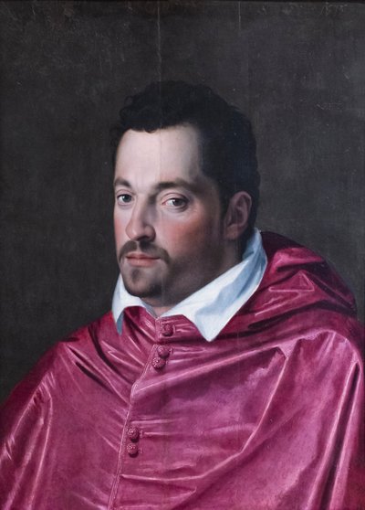 Portrait du cardinal Ferdinando Medici - Alessandro Allori