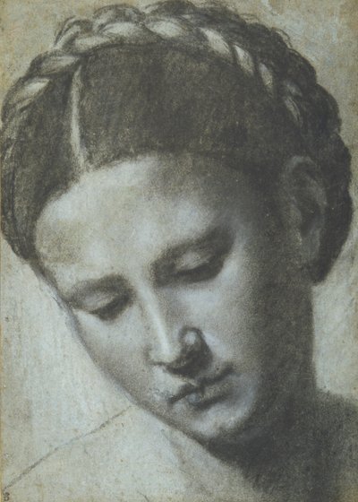 Tête de femme avec cheveux tressés - Alessandro Bonvicino Moretto