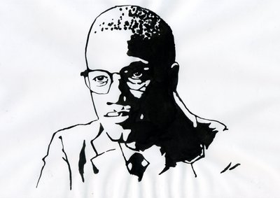 Malcolm X (1925-1965) Activiste afro-américain - Alessandro Lonati